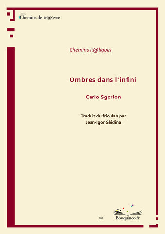 Shadows in Infinity - Carlo Sgorlon